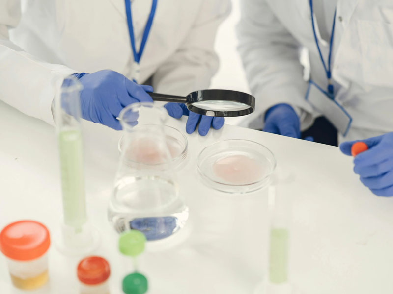 Food safety testing